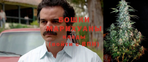 сатива Баксан