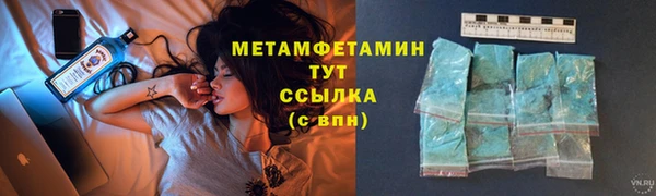 сатива Баксан