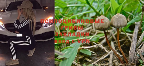 мет Балахна