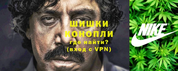 сатива Баксан