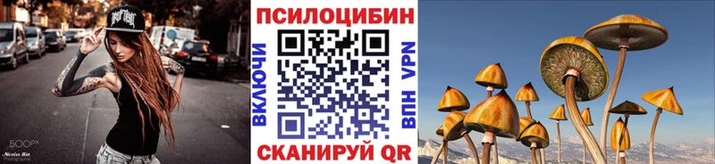 где купить наркоту  Белая Холуница  Галлюциногенные грибы GOLDEN TEACHER 