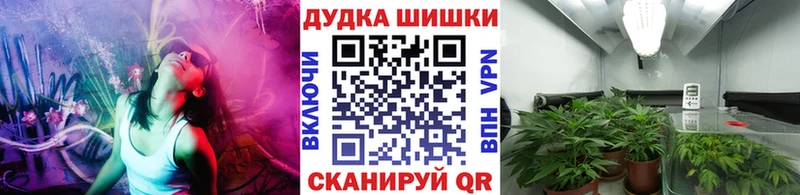 kraken зеркало  Белая Холуница  Шишки марихуана гибрид 