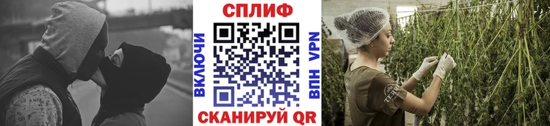 Бошки марихуана THC 21% Белая Холуница
